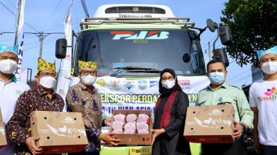 Banyuwangi Dragon Fruit Exported to Asia and Europe