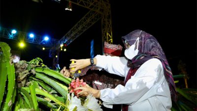 Dragon Fruit from 15 Villages in Banyuwangi will be exported to Singapore to Europe