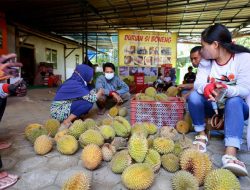 Gandeng Startup “Kang Duren”, Banyuwangi Perluas Pasar Durian Lokal