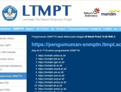 Hasil SNMPTN 2022 Telah Diumumkan Pukul 15.00 WIB, Berikut Link dan Cara Mengeceknya