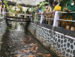 Komunitas di Banyuwangi Ubah Sungai Penuh Sampah Jadi Sentra Ikan dan Tanaman Pangan