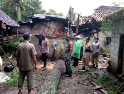 Pohon Tumbang Timpa Tiga Rumah di Sempu, Tiga Orang Luka-luka