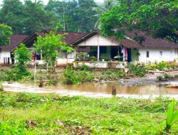 Embankment in Kandangan Jebol Village, East Java Natural Resources Service Immediately Install Gabions