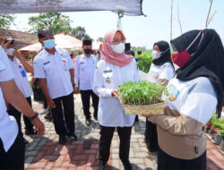 Banyuwangi Kembali Bikin Jagoan Tani, Anak Muda Dimodali Ratusan Juta Bisnis Pertanian