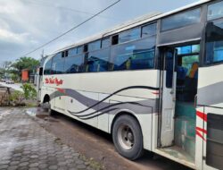 Bus Citra Wisata Mandiri Tabrak Pemotor di Banyuwangi, Emak-Emak Tewas