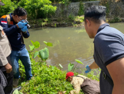 A male corpse was found face down on the banks of the Banyuwangi Kluncing River