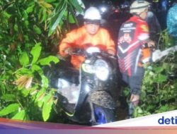 Jalur Gumitir Longsor, Satu Pengendara Motor Tertimpa Pohon Tumbang