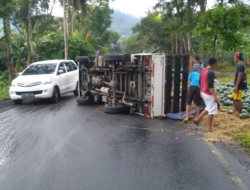 Wow, Truk Muat Semangka di Kalibaru Kecelakaan Akibat Jalan Licin