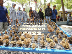 Angkat Sektor Perikanan, Banyuwangi Gelar Festival Nelayan T…