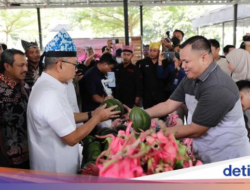 Ministry of Trade Will Facilitate Dragon Fruit Exports & Banyuwangi Farmer Avocado