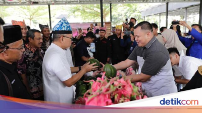 Ministry of Trade Will Facilitate Dragon Fruit Exports & Banyuwangi Farmer Avocado