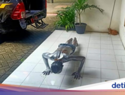 Satpol PP Banyuwangi Tertibkan Badut-Manusia Silver yang Resahkan Warga