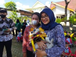 Unique!!! In Banyuwangi there is a fashion show followed by dozens of cats