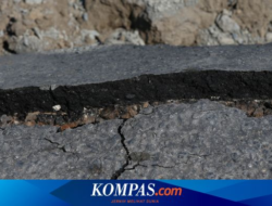 Magnitude Earthquake 6,2 in Jember, Feels up to Banyuwangi