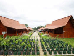 Revitalisasi Rampung, Agro Wisata Tamansuruh Seluas 10 Ha Ja…