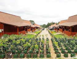 AWT Banyuwangi Tuntas Direvitalisasi, Jadi Taman Baru Bertema Budaya Osing