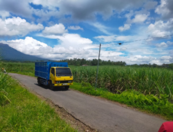 PT Perkebunan Glenmore Diduga<br>Sepelekan SK Bupati Banyuwangi Terkait Alih Fungsi Lahan