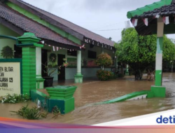 Petaka Alih Fungsi Lahan dan Tercerabutnya Hidup Aman Warga Blitar Selatan
