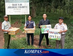 216 Confiscated Bird Tail Released in Banyuwangi Rogojampi Nature Reserve