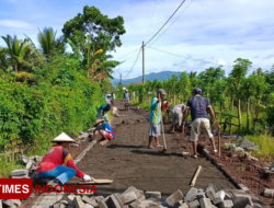 Desa Pesanggaran Banyuwangi Genjot Program Pavingisasi