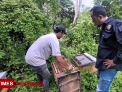 Mencicipi Manisnya Cuan dari Budidaya Lebah Madu di Kabupaten Banyuwangi