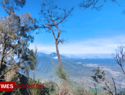 Menikmati Syahdu Pesona Mentari Pagi dari Puncak Gunung Ranti Banyuwangi