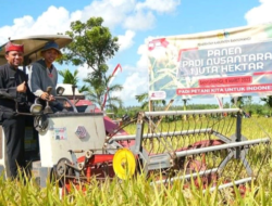 Banyuwangi Agriculture Office Ready to Succeed the Archipelago Rice Harvest