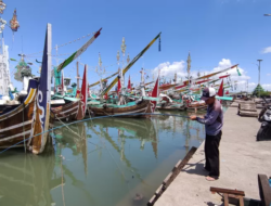 Tangkapan Ikan Loyo, Nelayan Muncar Banyuwangi Terus Merugi