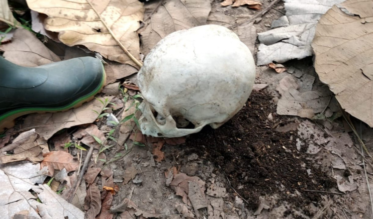 Geger, Tengkorak Manusia Ditemukan di Area Hutan Jati Banyuwangi