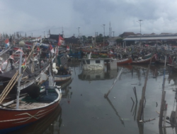 Tracing the Causes of Decreasing Fish Catches in Banyuwangi