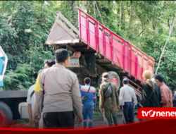 Truck Evacuation Into A Ravine, The Jember-Banyuwangi route is totally stuck 4 Jam