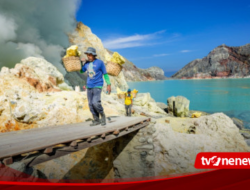 Cool! Ijen Banyuwangi Officially Named Global Geopark by UNESCO