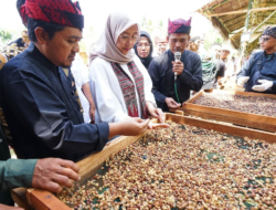 Keep Originality, Banyuwangi Regency Government Registers a Patent for Geographical Indication of Robusta Coffee