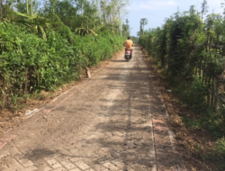 Criticism Arose Against the Lack of Transparency of the Pavingization Project in Banyuwangi