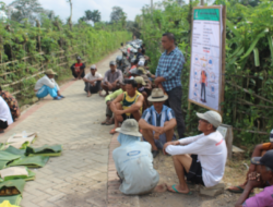 Tasakuran Paving: A Story of Gratitude and Thanks from the Villagers of Sembulung, Banyuwangi