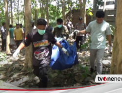 Geger! Mayat Membusuk Ditemukan di Bekas Vila Kebun Jati di Banyuwangi