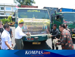 Banyuwangi Sardines Exported to Germany, Minister of Industry: High Product Quality