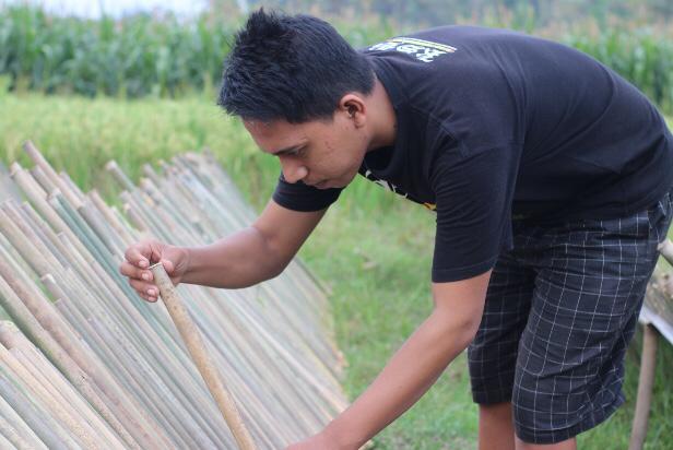 Proses pengeringan pada bambu wuluh. (Foto: Rony. Jurnalnews).