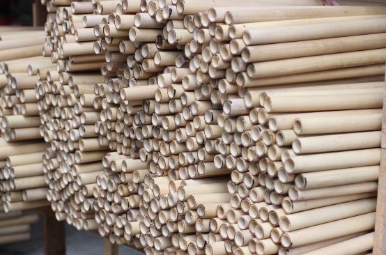 Bahan untuk seruling, bambu wuluh yang sudah kering siap produksi. (Foto: Rony. Jurnalnews).