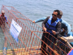UB – Pelni Lakukan Konservasi Terumbu Karang di Bangsring Underwater Banyuwangi