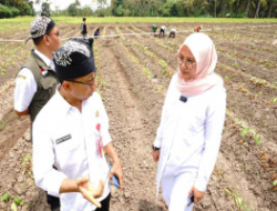 Monitor Agricultural Land, Regent of Ipuk: Check Water Availability