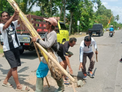 Damaged Road Planted with Banana Trees in Glenmore Banyuwangi Will Be Repaired Next Year
