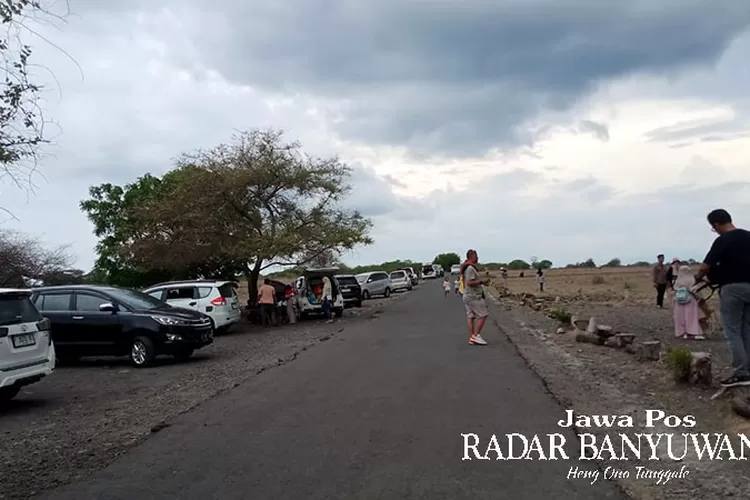 liburan-di-penghujung-tahun-2023,-ribuan-pengunjung-serbu-africa-van-java-baluran-situbondo