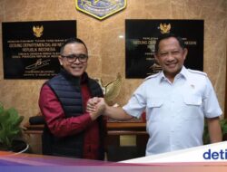 MenPAN-RB Bertemu Mendagri Bahas Percepatan Keterpaduan Layanan Digital