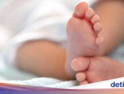 Viral Siswi SMP 14 Tahun Buang Bayi, KemenPPPA Angkat Bicara