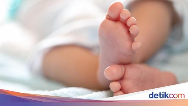 viral-siswi-smp-14-tahun-buang-bayi,-kemenpppa-angkat-bicara