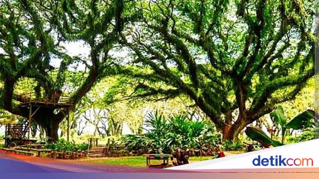 kurangi-beban-wisata-bali,-banyuwangi-bali-barat-(bbb)-akan-debut