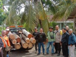 Temukan Tumpukan Diduga Kayu Illegal Logging, Tim Gabungan Gelar Penyelidikan