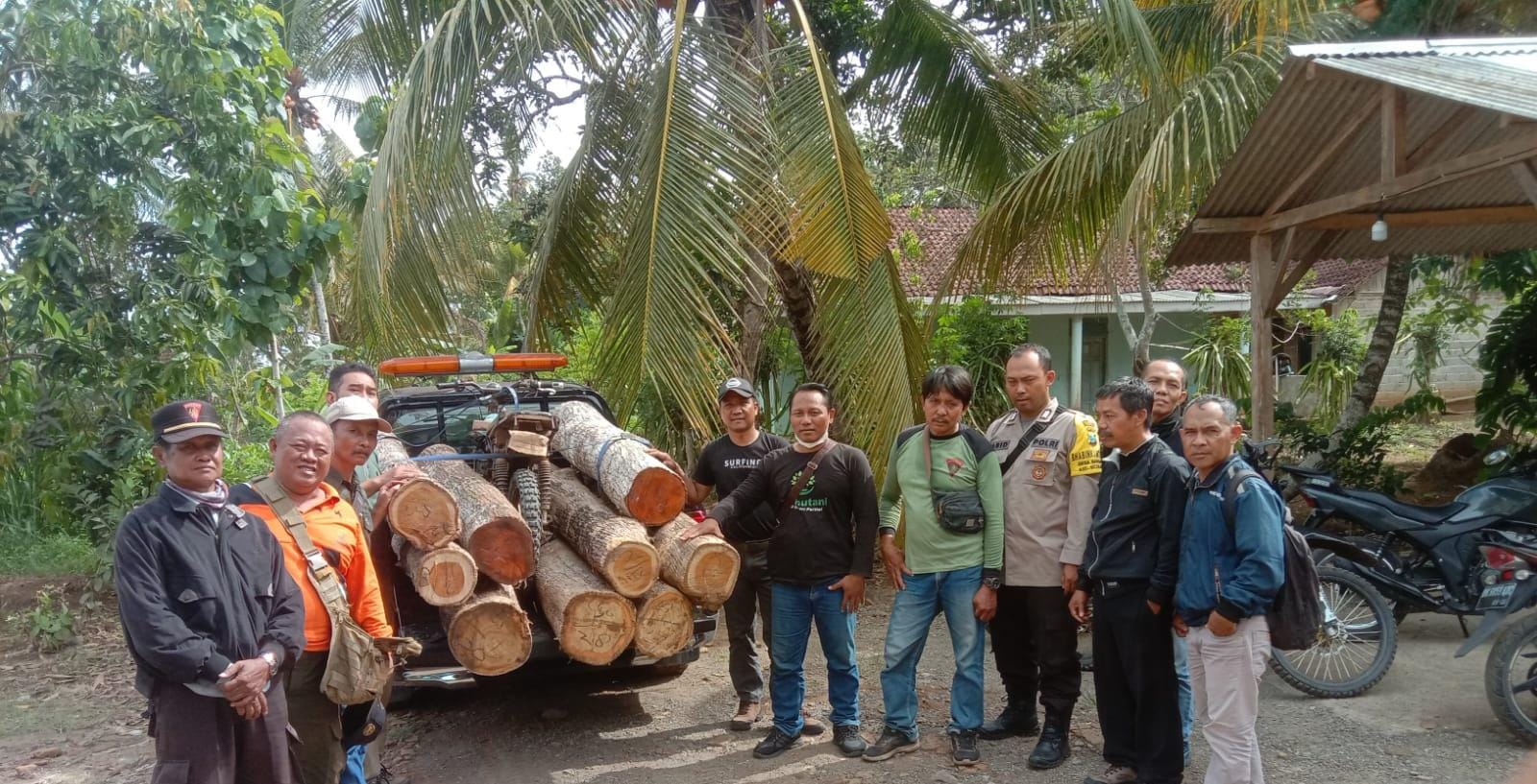 temukan-tumpukan-diduga-kayu-illegal-logging,-tim-gabungan-gelar-penyelidikan