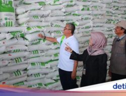 Pusri Pastikan Stok Pupuk Bersubsidi Aman Masuk Musim Tanam 2025